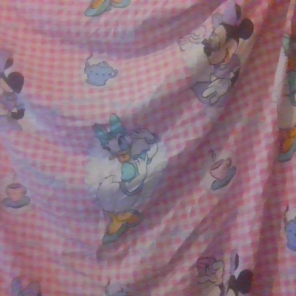Minnie mouse and daisy duck twin bed sheet!